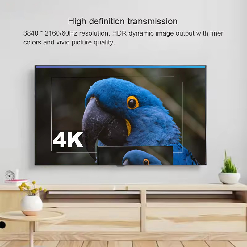 Extensor DisplayPort a HDMI 4K - Hdmi Cable reseña y precio